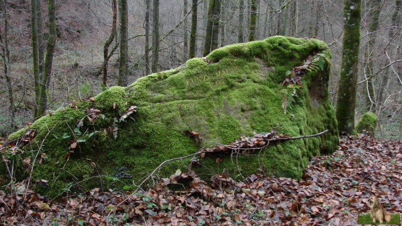 Ritterstein Nr. 039-3 Kunzelmannsgut.JPG - Ritterstein Nr.39 Kunzelmannsgut